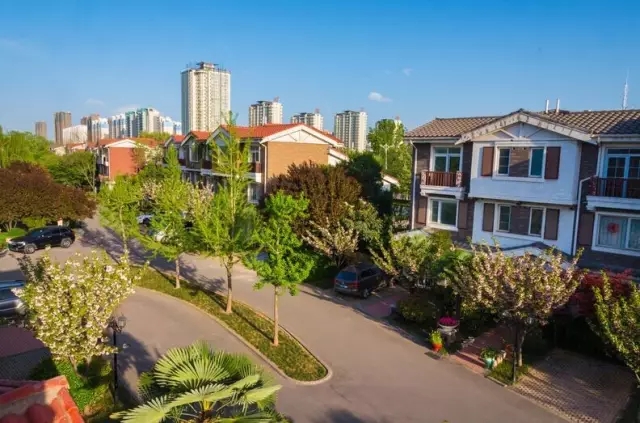 ֽ������ | ��������������������Ψ������